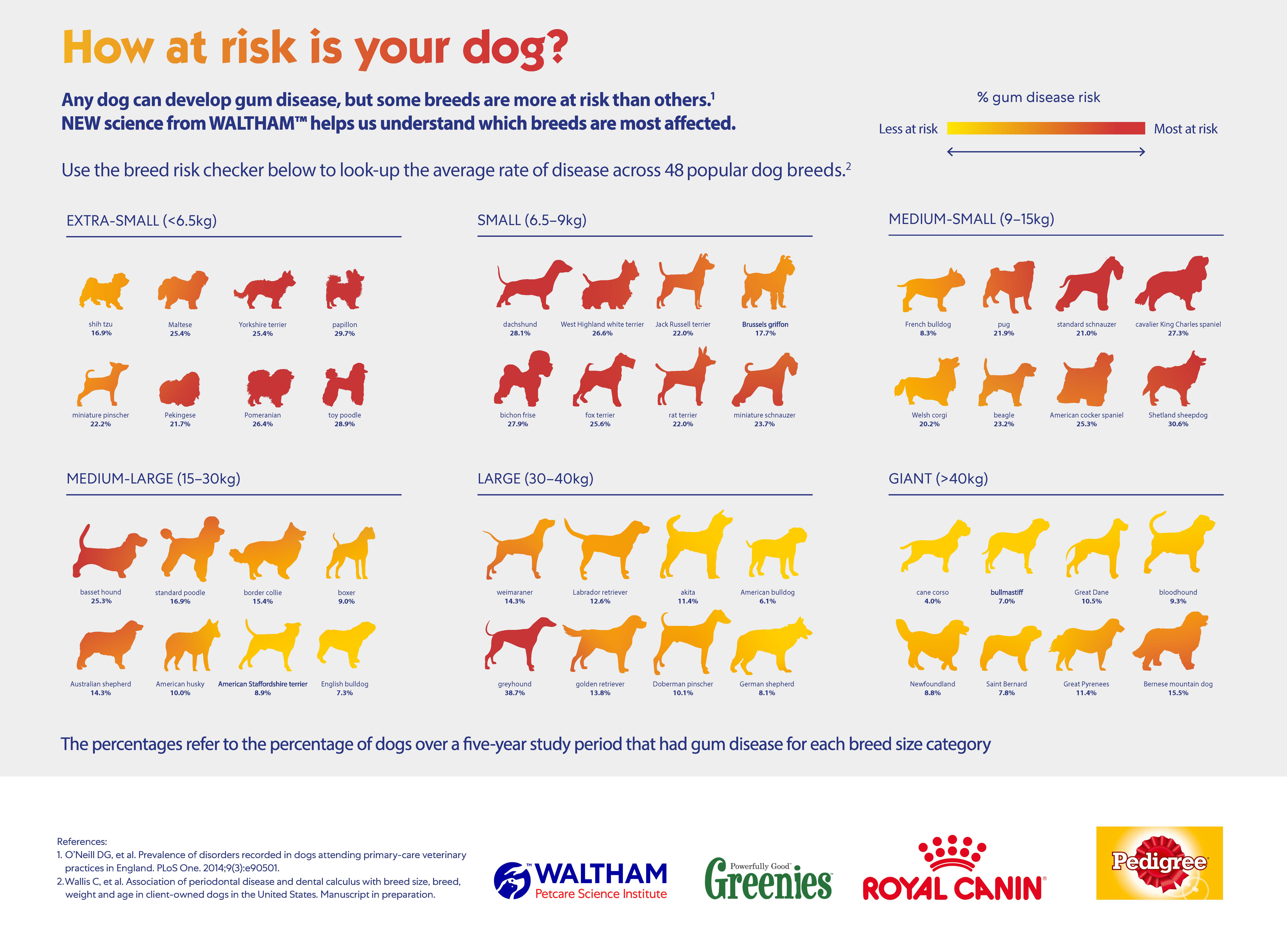 dental disease prevalence across 48 dog breeds infographic